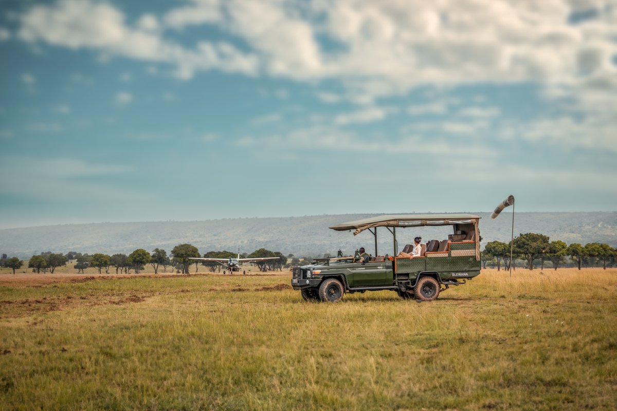 Elephant Pepper Camp tweet media