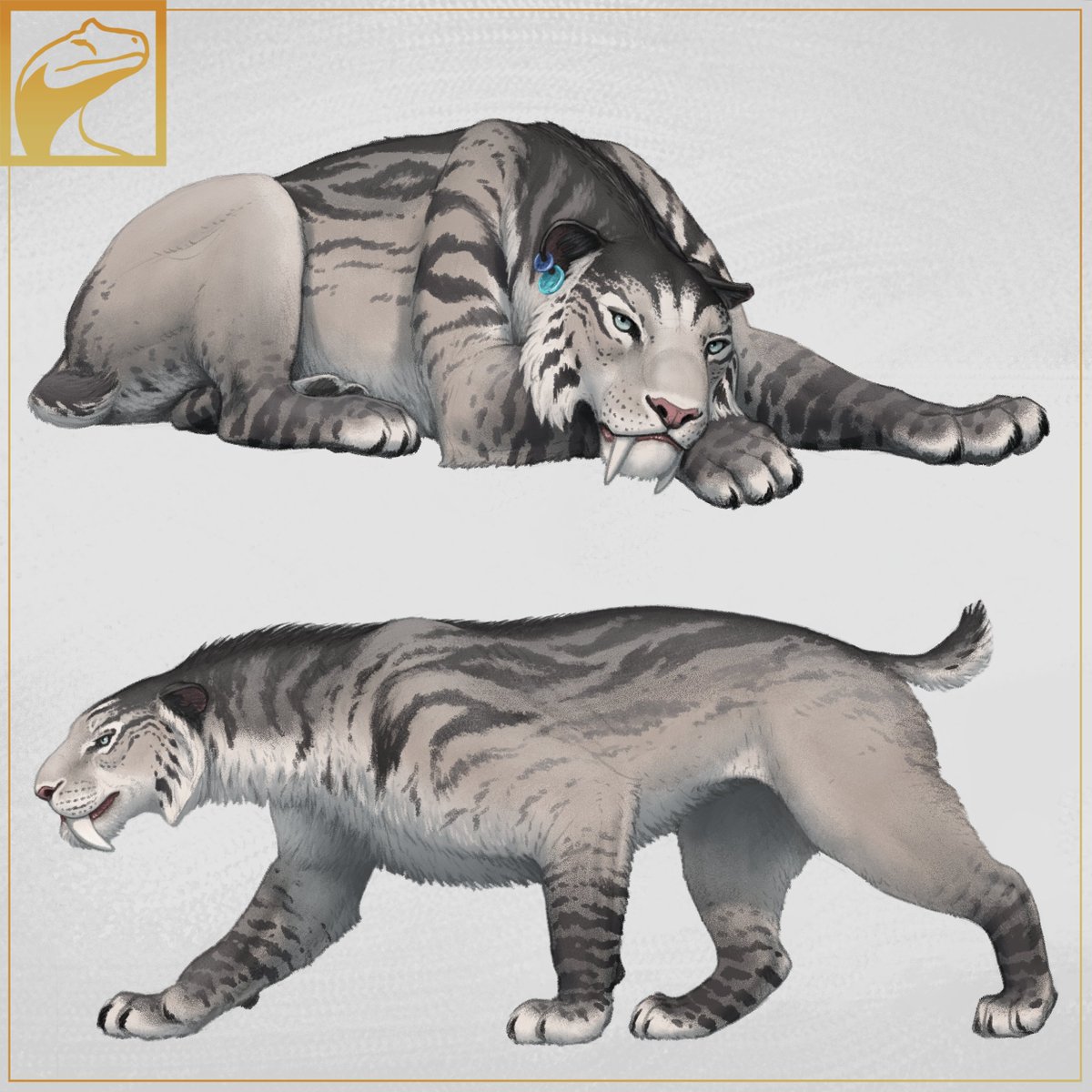 GHXzIskWUAApFey.jpg?format=jpg