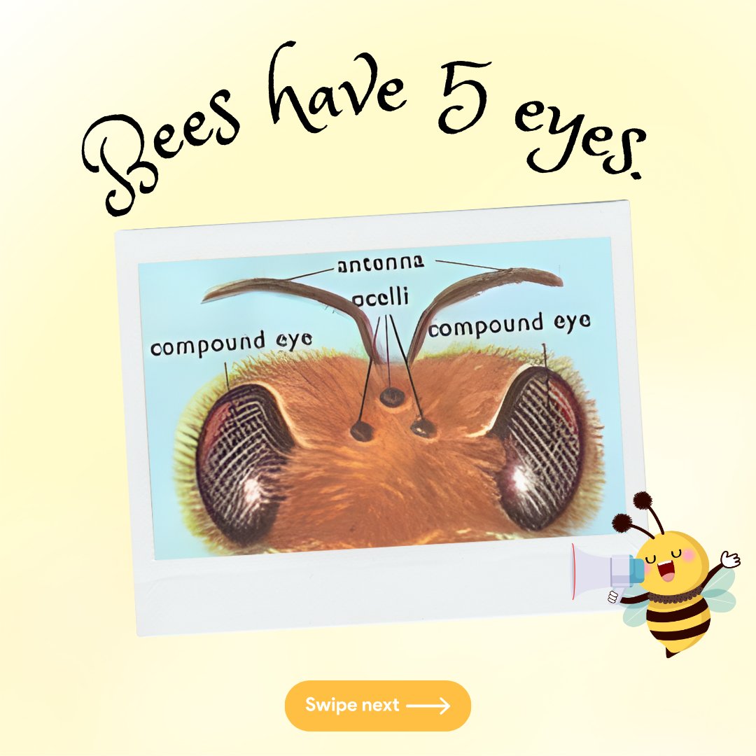 ZoephyDesigns's tweet image. Buzzing with bee-autiful facts! 🐝 Did you know bees dance to communicate? 🕺 Dive into the hive of knowledge and support the cause by swarming our bee-themed stickers! 🌼🍯 #SaveTheBees #BeeInformed 🛍️
