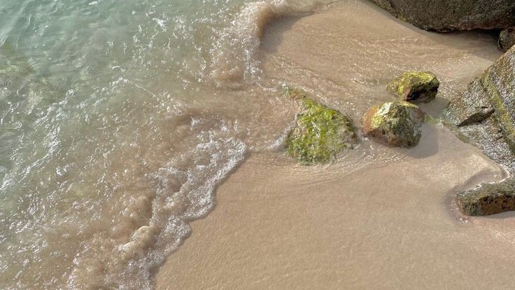 ㅤ

     「    波浪！」ALON POSTED
       2024年  02月  28日 
       ⍟  WHITE BEACH, BORACAY 
ㅤㅤ
ㅤ   Tampisaw at lamon ngayong 
       umaga. Kamusta kayo? 

ㅤ