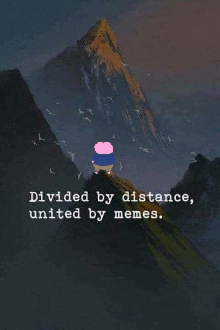 I recolored just under 200. They are my pinned/highlight posts. Add them to your stash. ✊️ 
$PORK