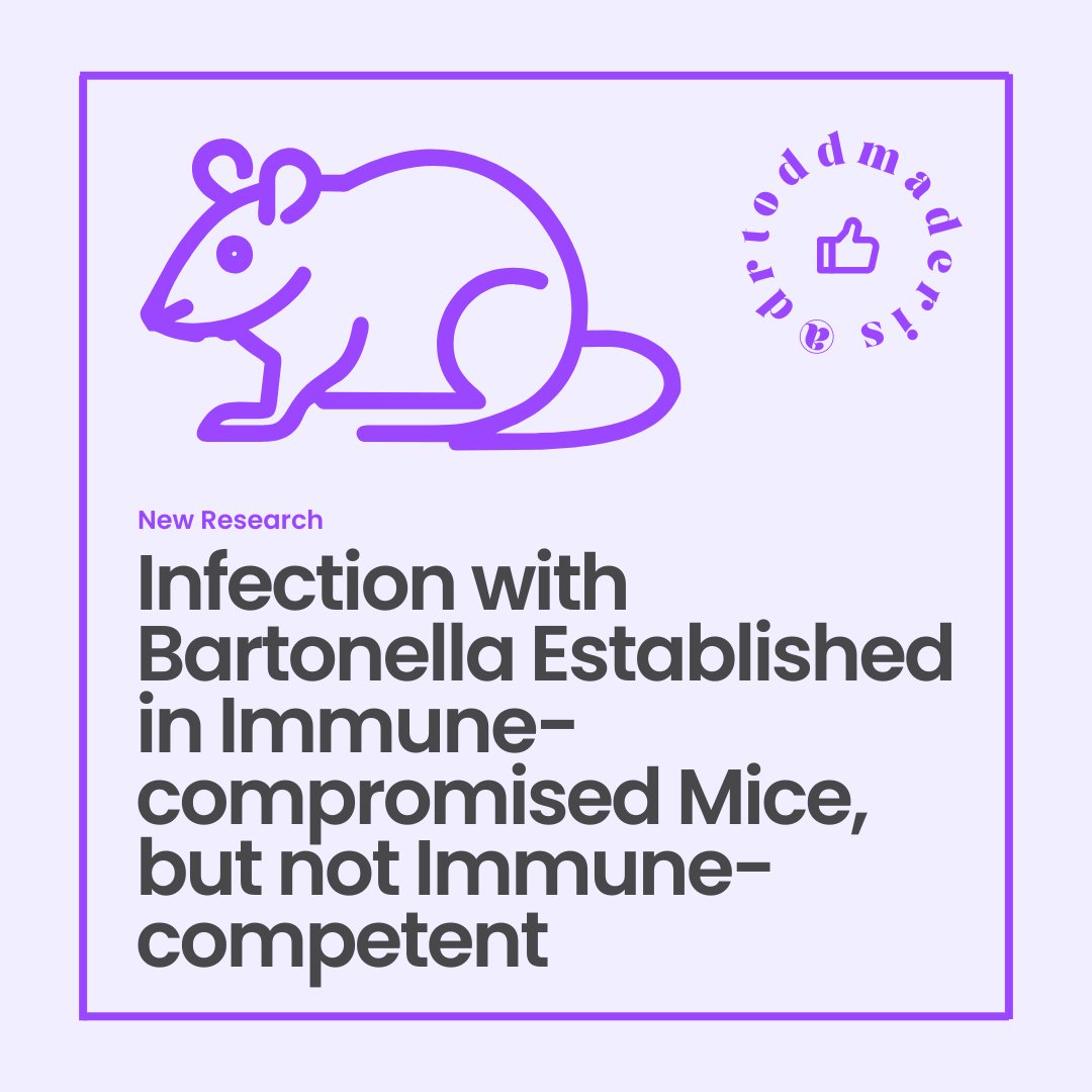 [NEW RESEARCH] Infection with Bartonella Established in Immune-compromised Mice, but not Immune-competent A few top researchers in the #tickborneinfection scientific community performed a study to establish a living organism model to study #Bartonella infection, treatments, and…