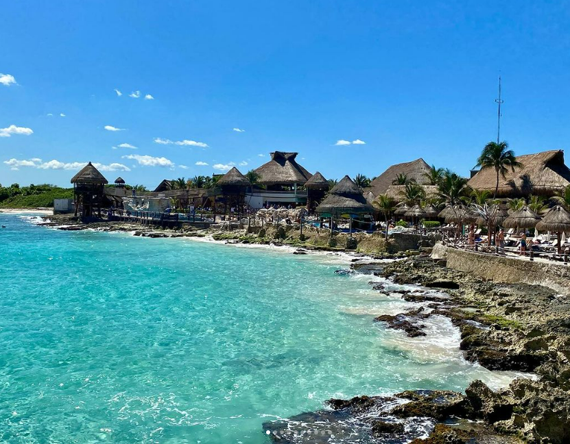 Terry Ilous tweet media