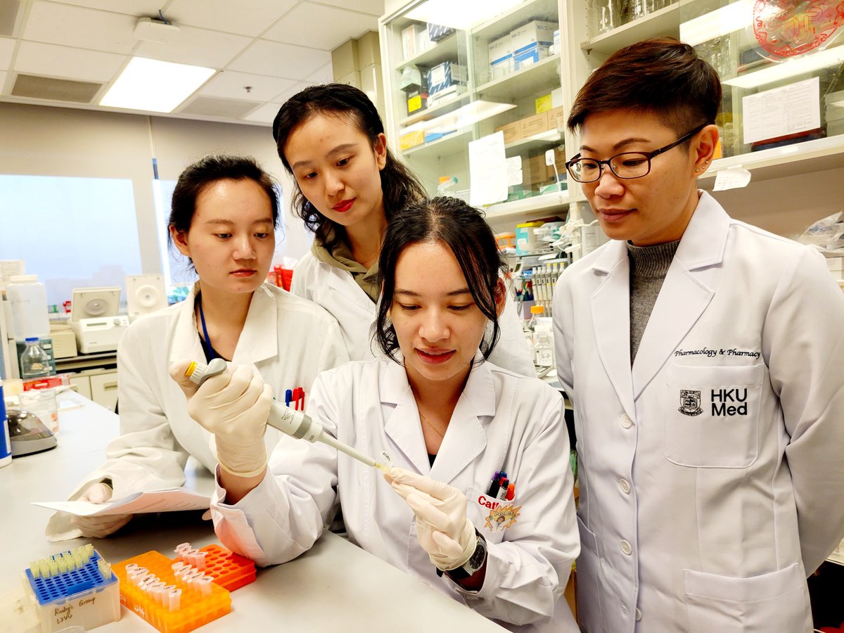Researchers from @HkuPharm have developed a neutralising monoclonal antibody, 6H2, which targets a harmful protein known to exacerbate the damage caused by ischaemic stroke. For more on their findings: hkumed.hk/327