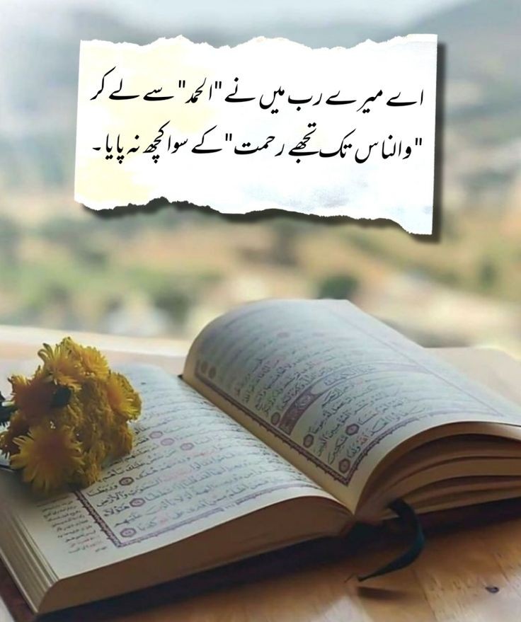 7raima8 tweet picture