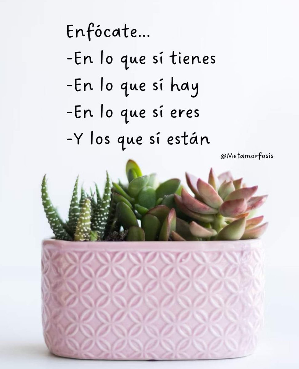 ZuryMayen's tweet image. Enfócate... #EternamenteGracias 😊