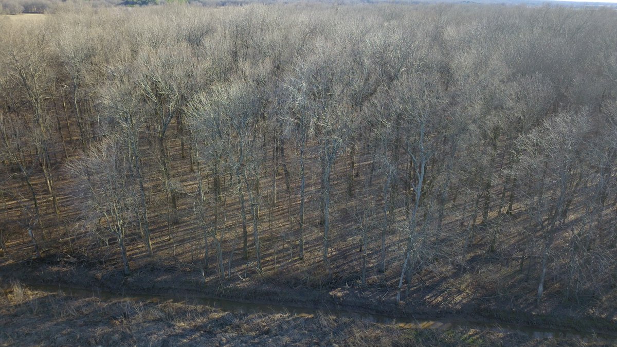 Land For Sale: 109+/- acres near Lorado in Greene County, AR and only 15 miles from either Jonesboro or Paragould. This property has potential for various uses. Contact us for more information. glaubfm.com/property/nutt-…