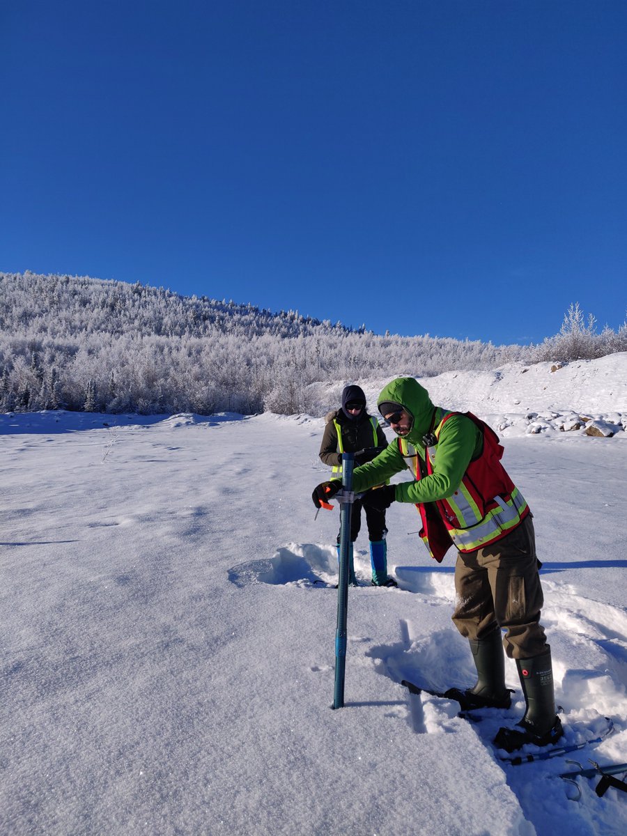 The #NorthernMineRemediation team flew to Minto Mine for snow sampling! We had a great time collecting valuable data in the field for our Mine Revegetation Project ❄️ #fieldwork #NMR #Remediation @POLARCanada @NSERC_CRSNG @YukonUresearch @yukongov 
shorturl.at/uHLNT