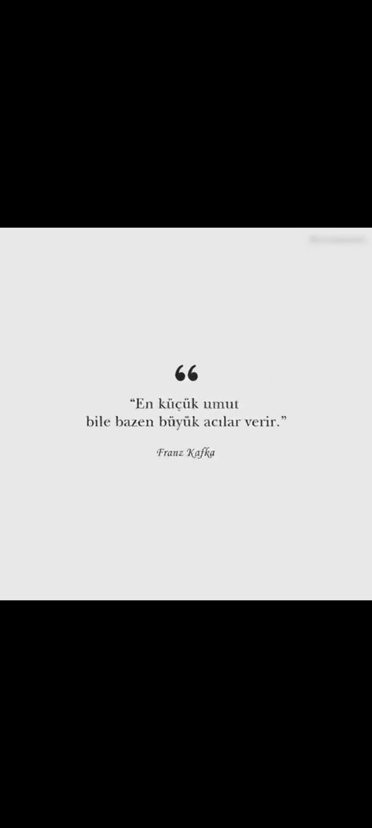 Cupcat (@cupkittys) on Twitter photo 