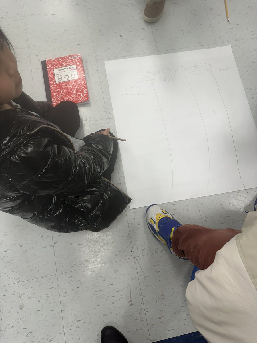 We are researchers! 3rd grade Ss have been working on their research and note taking skills when reading non fiction books! They have become animal experts! <a href="/MsStollar/">Rachel Stollar</a>