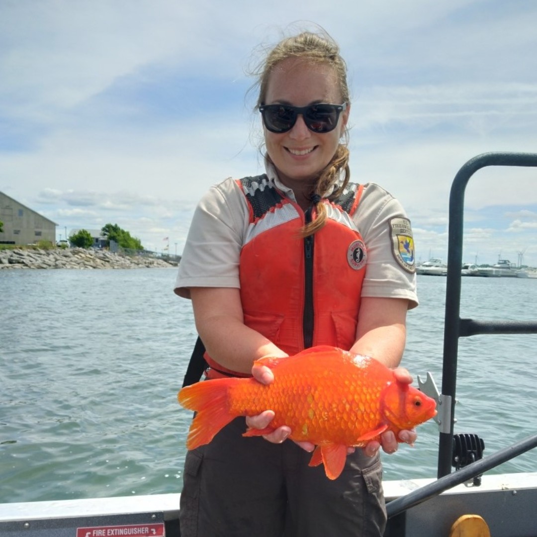 U.S. Fish and Wildlife Service tweet media