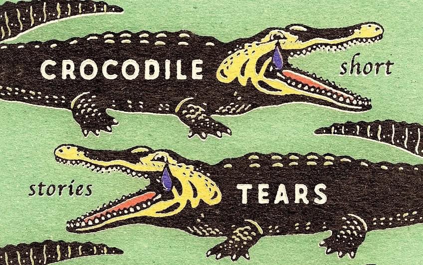 ON THE SITE TODAY: #IfMyBook with Crocodile Tears Didn’t Cause the Flood, the new short story collection from Bradley Sides—out now from @MontagPress. monkeybicycle.net/if-my-book-cro…