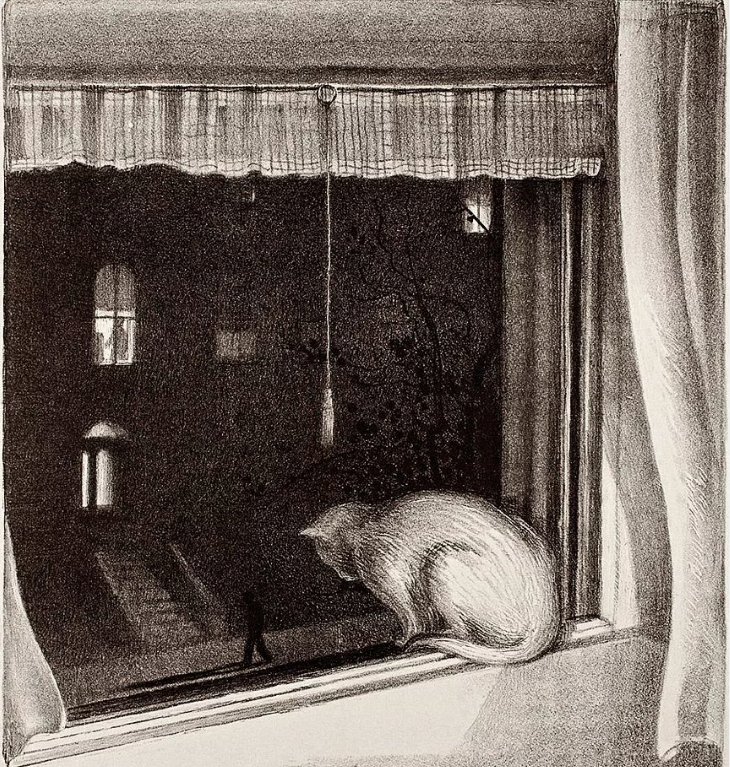 'Cat in the Window' by Mabel Dwight, 1928

#illustration #cat #catpainting