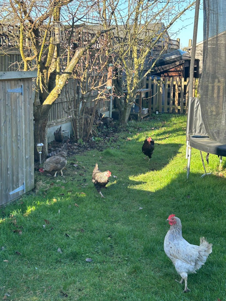 Mike Drew tweet media