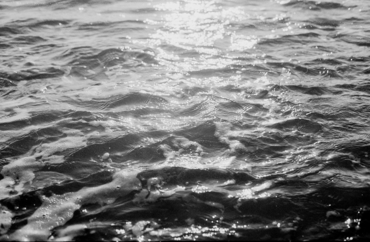 jana stýblová tweet media