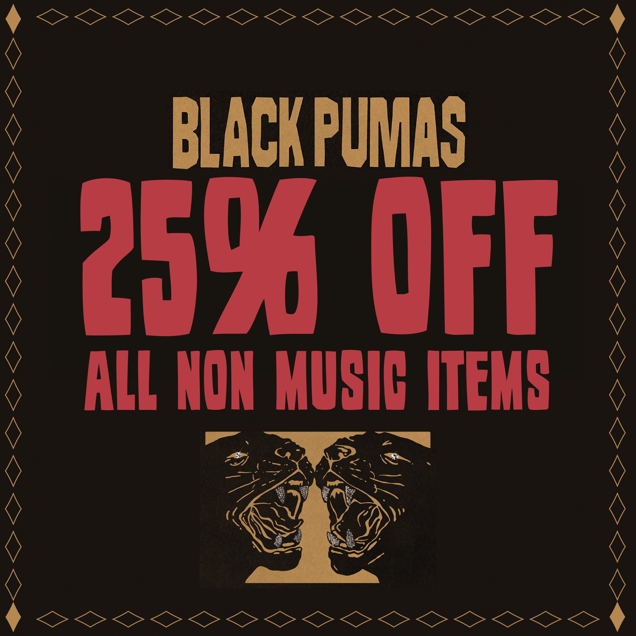Black Pumas BlackPumasMusic X