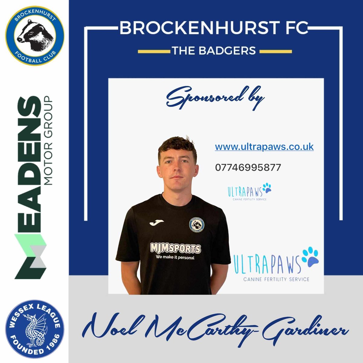 Brockenhurst FC tweet media