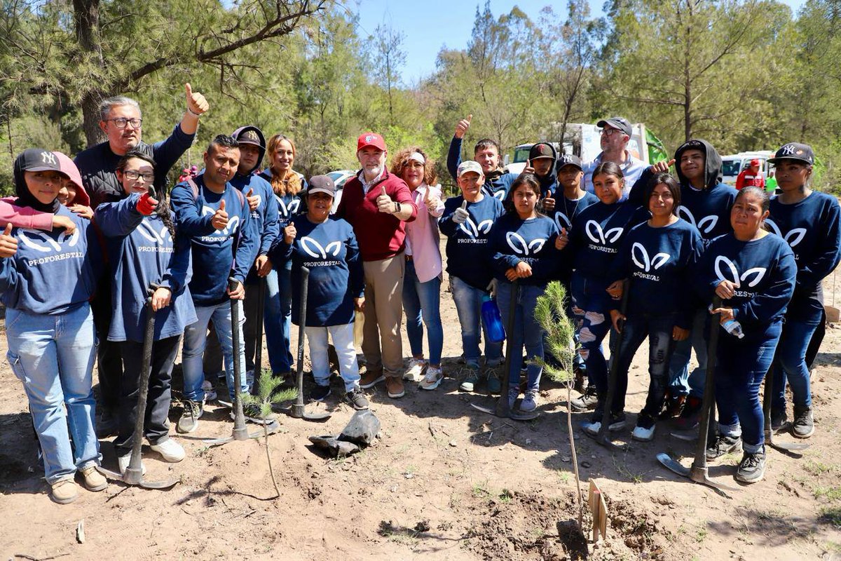 🌱🌳 ¡El #DíaDeTalacha de esta semana lo dedicamos al #BosqueDeLaVida del @DIFMunicipalSLP! Acompañamos a 280 parejas a plantar los árboles que simbolizan los nacimientos de sus bebés. Llevamos ya 115,000 árboles plantados en toda la ciudad, ¡y los que siguen!