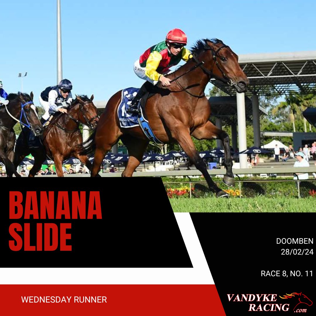 🏇 🏇 We're hoping to keep the momentum going today @brisracingclub

⭐ MAXCALEMMA deserves to break through after 2 super runs recently
🍌 🛝 BANANA SLIDE is first-up for the Nolan family 

Good luck to jockey @WilsonTaylor99 and all owners 🤝