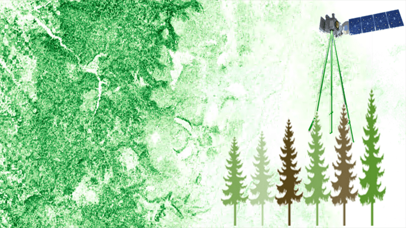 Esri_Conserv's tweet photo. Aboveground biomass is a crucial ecological variable for understanding the carbon cycle and assessing ecosystem productivity. 

Explore how to map aboveground biomass: https://t.co/uGGeDgapOf

#remotesensing #biomass https://t.co/LUeh9F2yjC