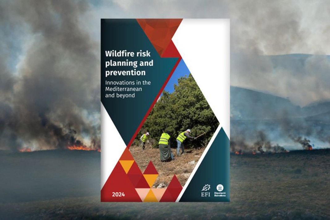 Wildfire risk planning and prevention: innovations in the Mediterranean and beyond medforest.net/2024/02/27/wil… via <a href="/efimedfacility/">EFI Mediterranean Facility</a>