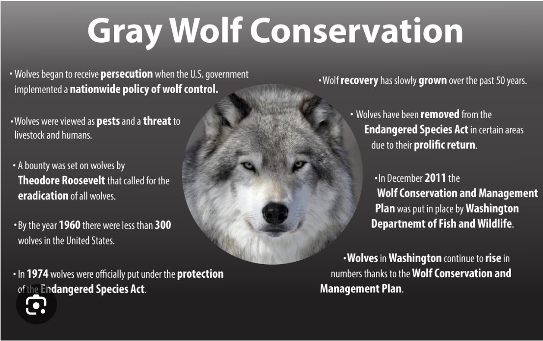 #39canimals 
Ask your representatives to do their job! Ask your representatives to send a signed letter with comments on the USFWS status review of gray wolves #Raiseyourvoiceforwolves #relistwolves
#savewolves