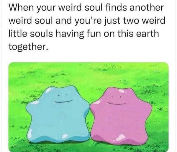 WholesomeMeme's tweet image. 