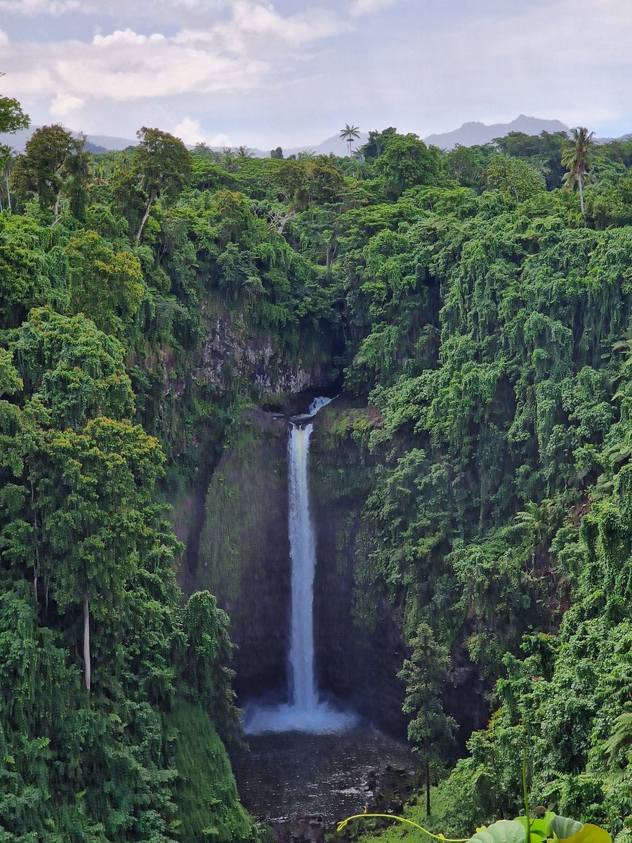 anacleto_97's tweet photo. 📍 Apia 🇼🇸 https://t.co/KbWjqBDRWT