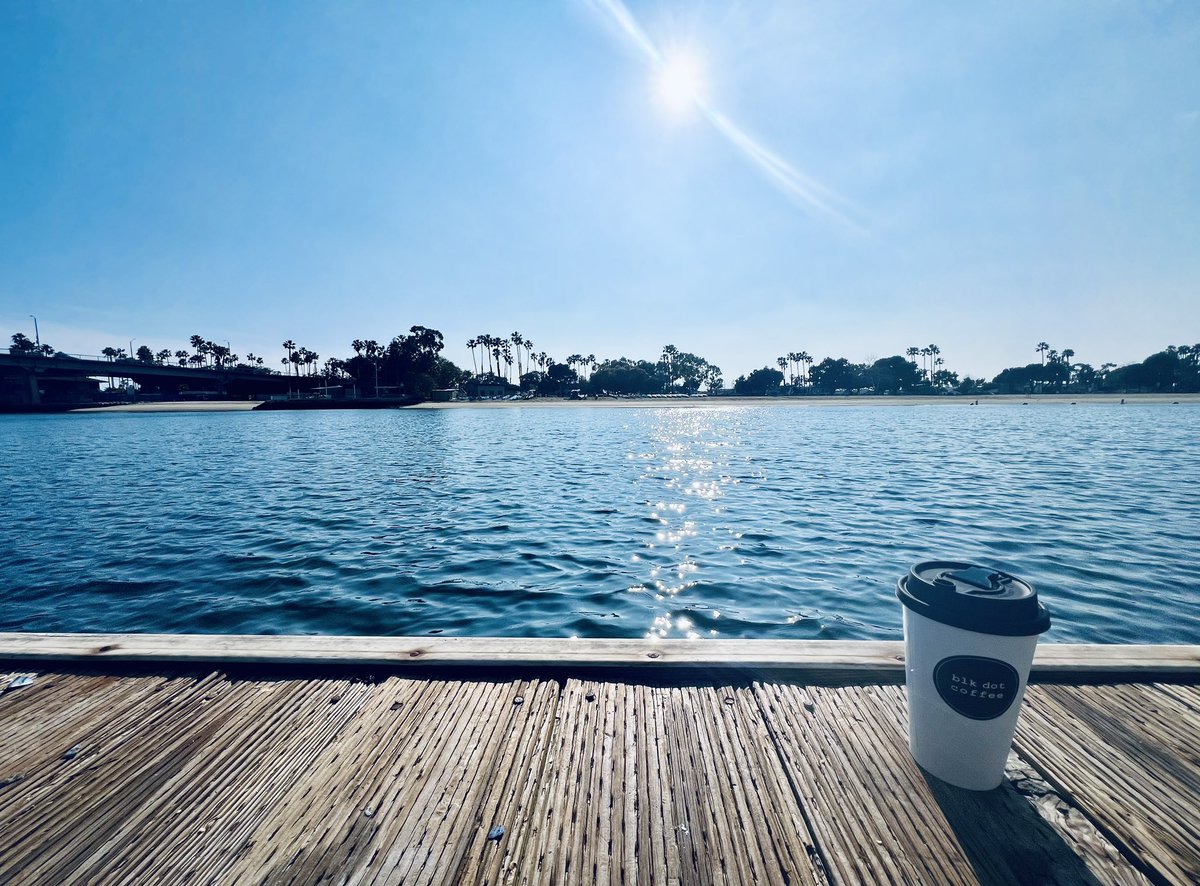This is my secret productivity work spot 🤫No people around, just sea birds and sea lions 🦭