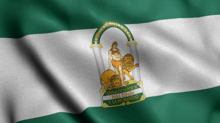 โท ๐ ๐ต๐๐พ๐๐ถ ๐ โท ๐ค tweet media