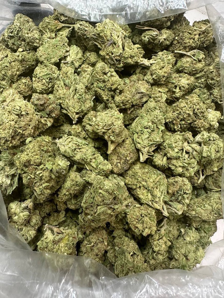Laylasbud's tweet photo. Strawnana🔥 #420community #420friendly #CannabisCommunity #gettinghighdaily #stoners #highfun #viralvideo https://t.co/kvKgxByBU5