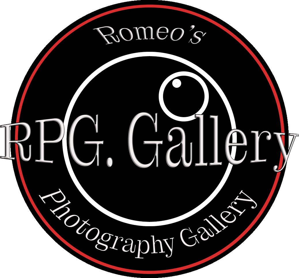 Romeos Photography Gallery📸 tweet media