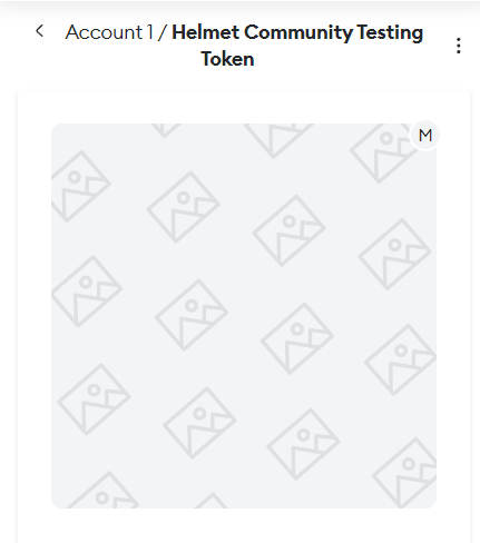 Shookethf's tweet photo. @MetisL2 So how do I add the NFT to my metamask? I've entered the token ID and contract address and it only shows this. Anyone knows how to add it so it's properly visible? https://t.co/CJDdJQ0p9k