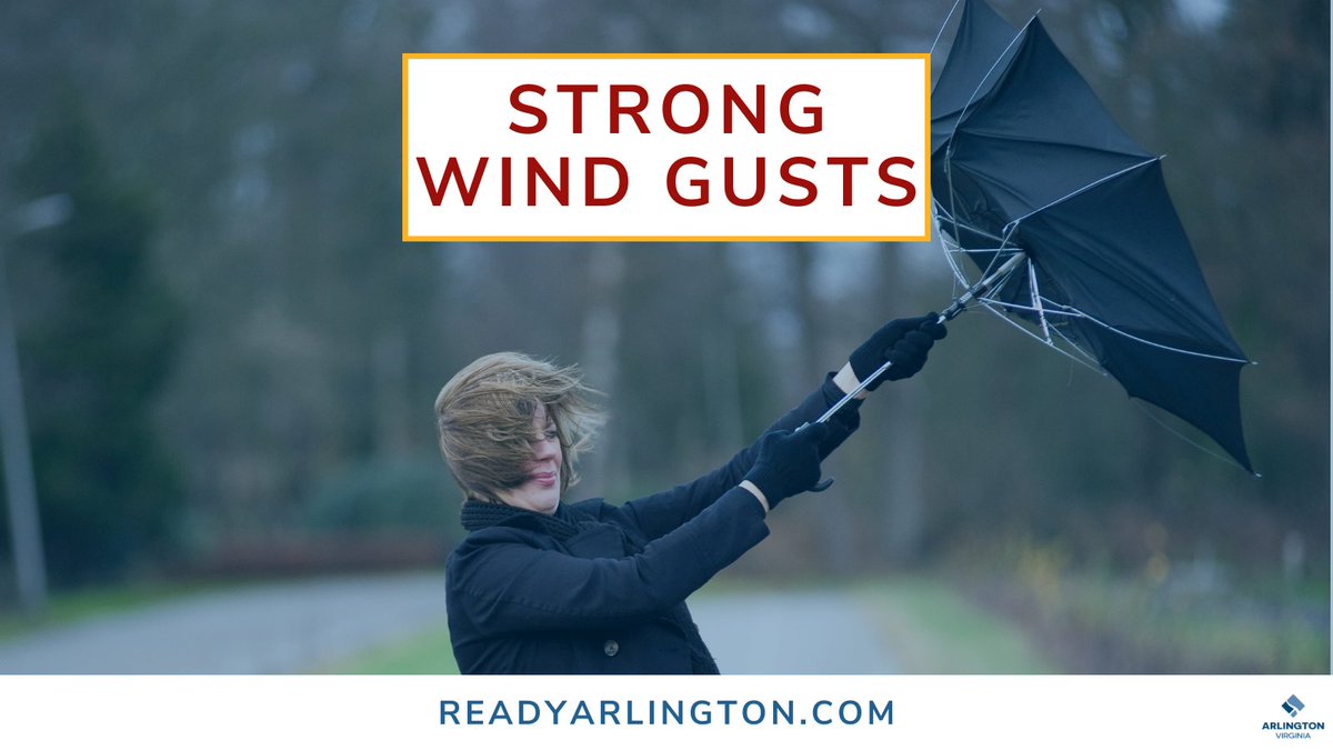 A strong cold front + wind gusts are expected in our area all day tomorrow, Wednesday, 2/28. This may cause downed tree limbs + power lines. Be prepared:

🥅 Secure yard/balcony items
💻 Report issues online: bit.ly/3Cpxxe5
📱Sign up for @ArlingtonAlert

#dcwx #vawx