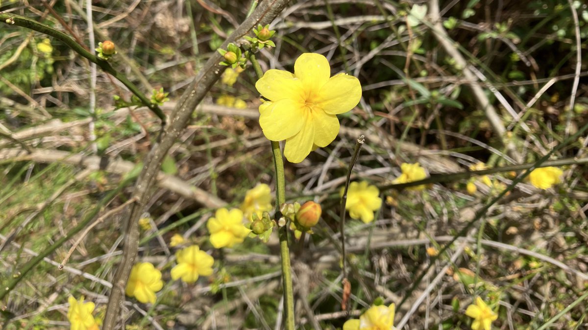 KerocV's tweet image. You don’t know what you are asking.
#MATTHEW20

私は
何を願っているか、わかっていない

イエスが受難を予告したそのすぐ後に
的外れなお願いをする
ヤコブとヨハネとその母の姿は

まるで私

主よ、
的を外しっぱなしの私が
あなたの思いに立ち返ることができますように
あわれんでください