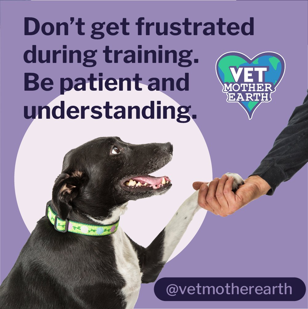 vetmotherearth's tweet photo. Patience is a virtue.🐾
#vetmotherearth #dogeducation #dog #dogs #doglovers #sandiego #sandiegononprofit #animalcharity #liveyourbestlife #responsiblepetownership #respectdogs #dogowners #patience #havepatience https://t.co/i7ARTbnpsh