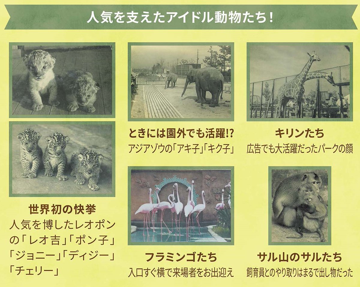 『あゝ懐かしの阪神パーク』の追加情報を
WEBで公開したで～✨みんな見てなー🐘hothanshin-yume.com

いよいよ残すところ後3日‼️
当時を知る人も知らない人も楽しめるイベント
になっているから、みんな遊びに来てや～。

メモリアル大年表の一部、公開しとくな😊