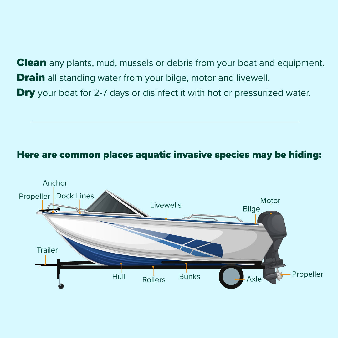 Invasive Species Ctr on X: Aquatic invasive species can spread on boats  and gear. That's why rules and regulations are in place in Ontario for  recreational boaters and why it's important to