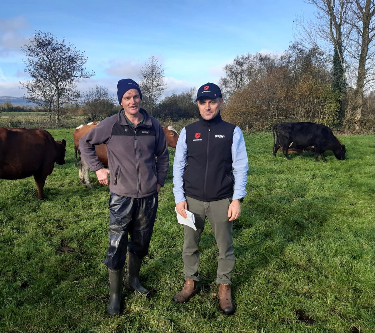 Looking for advice on using Norwegian Reds in your herd?

Contact us to schedule a farm visit from ourselves &amp; Diego Galli, regional sales manager for Geno <a href="/NorwegianRed/">Norwegian Red</a> upon his visit to Ireland 5th &amp; 6th March!

🟥Improve fertility
🟥Improve health
🟥Reduce feed intakes