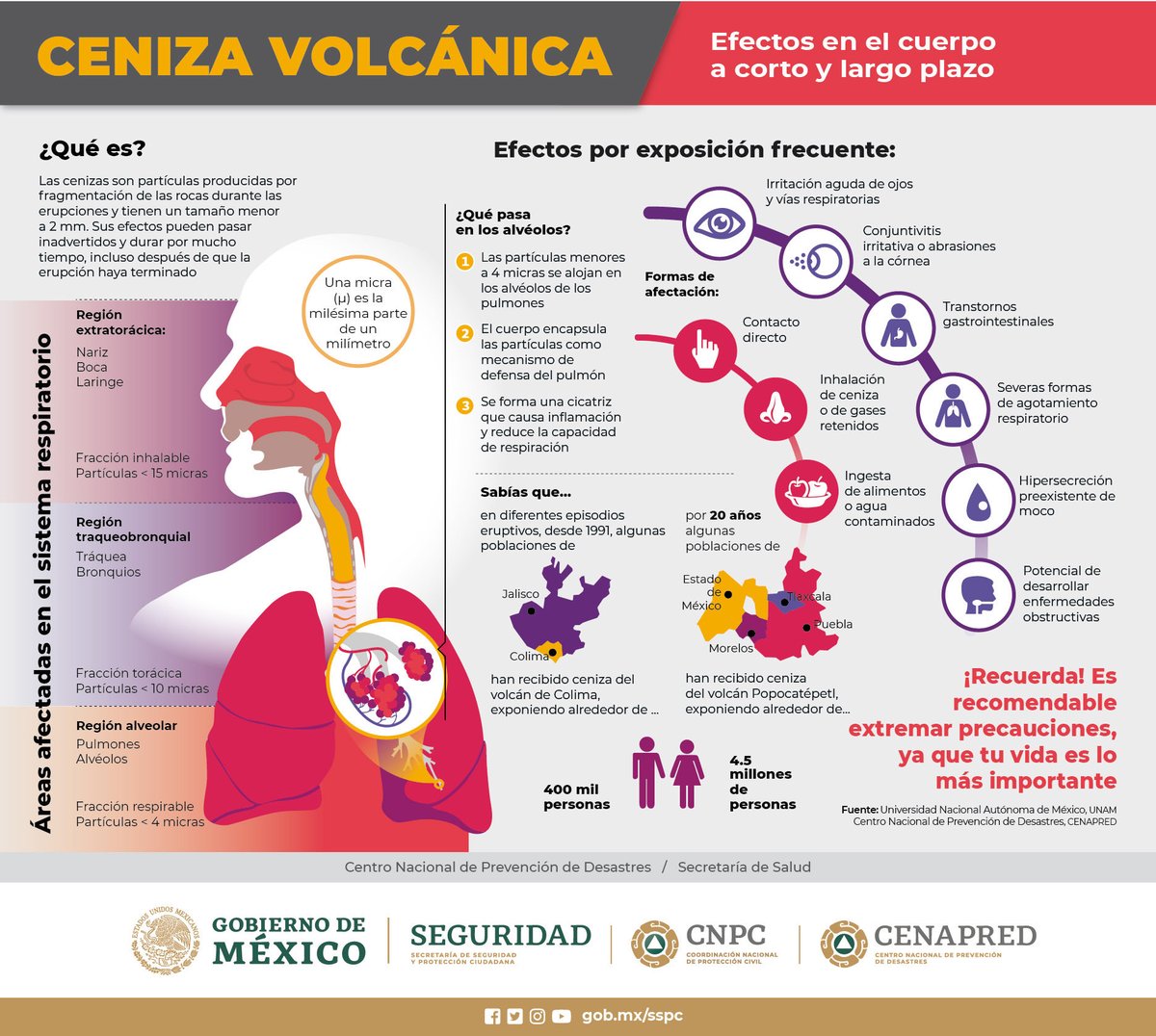 🌋⚠️Extrema precauciones ante la caída de #Ceniza generada por el #Popocatépetl.
 
Conoce los efectos 😷 por exposición frecuente y cuida tu vida. 👇

⁦<a href="/laualzua/">Laura Velázquez Alzúa</a>⁩
