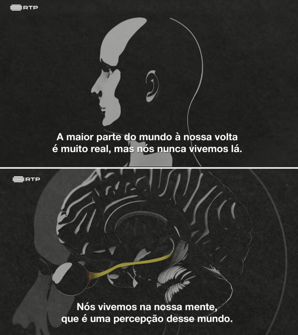 "A noção de quem somos é uma ilusão (…). A maior parte do mundo à nossa volta é muito real, mas nós nunca vivemos lá. Nós vivemos na nossa mente, que é uma percepção desse mundo que é filtrada por sacos de água salgada com proteinas e sinais electroquímicos.”

Série “O Cérebro”.