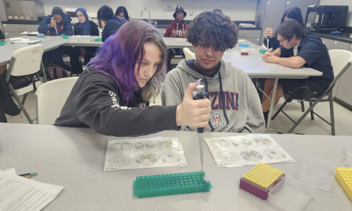 SSATucson's tweet image. "🔬 AP Bio Update! 🔍

🌟 This week, our students leveled up their biology game with hands-on micropipetting practice! 💪 Precision is key, and they're nailing it for the upcoming electrophoresis lab. ⚡️ 🧪 #APBiology #EagleNation  "