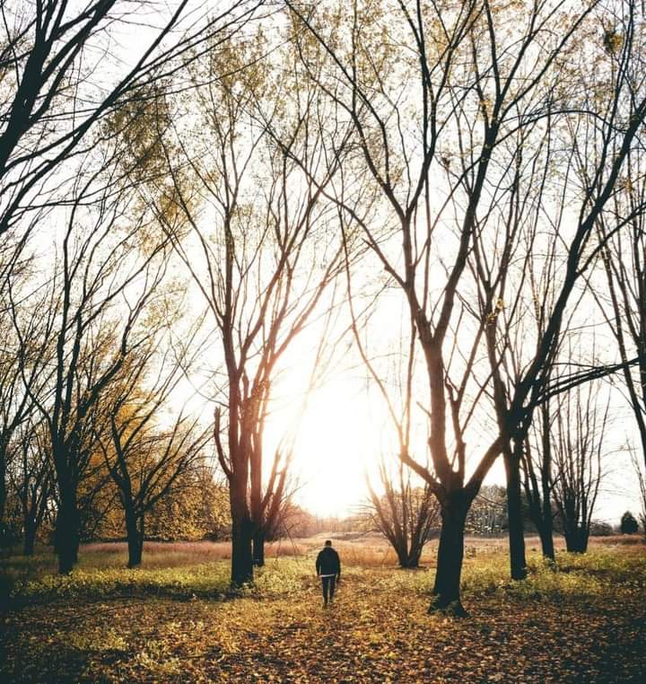 PROMESAS QUE SOLAMENTE DIOS PUEDE HACER
📖 #Jeremías30 (LBA)

✅️ "No temas" (v. 10a)
✅️ "Yo soy el que te salvo" (v. 10b) 
✅️ "Yo estoy contigo" (v. 11)
✅ "Yo te devolveré la salud" ️(v. 17a)
✅️ "Te sanaré de tus heridas" (v. 17b)