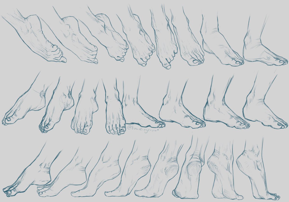 tauntingcrow's tweet photo. More studies. More feet… (going to take a break from it and focus on something else for the next sheet U_U) https://t.co/0MJLtXhgc2