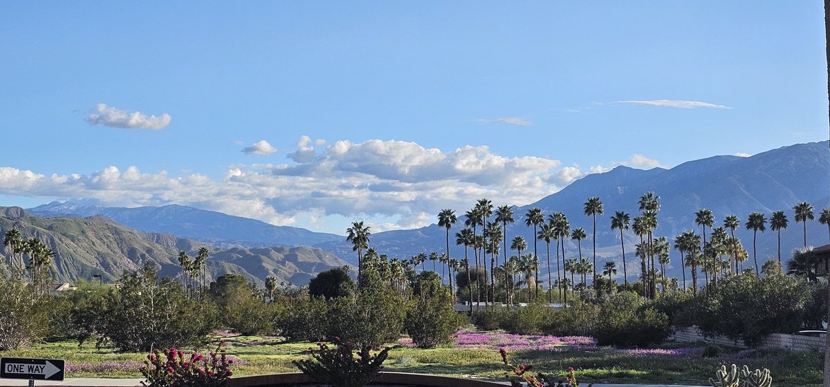 P4nch0C4r3k3s0's tweet image. 4y38 #TimeToGoHome P.S.