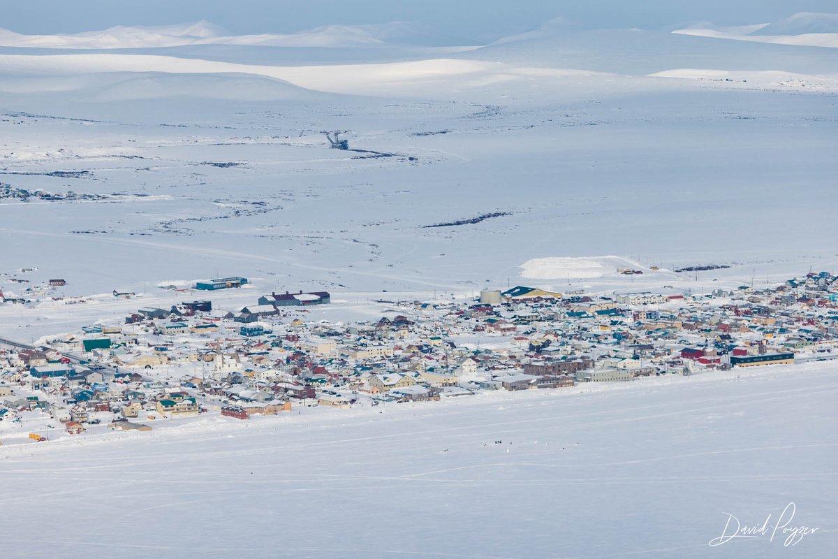 The_Iditarod's tweet image. Follow along with us on our FINAL stop on the virtual tour of the Iditarod Trail:  Safety to Nome.  This is the home stretch, but it can be tough at times. 

Detailed Route ➡️ iditarod.com/safety-to-nome
📷:  @davepoyzer  |  davepoyzer.com