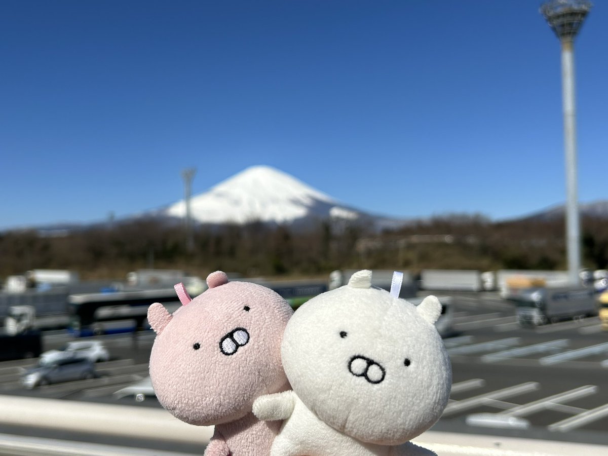_michi1215 tweet picture