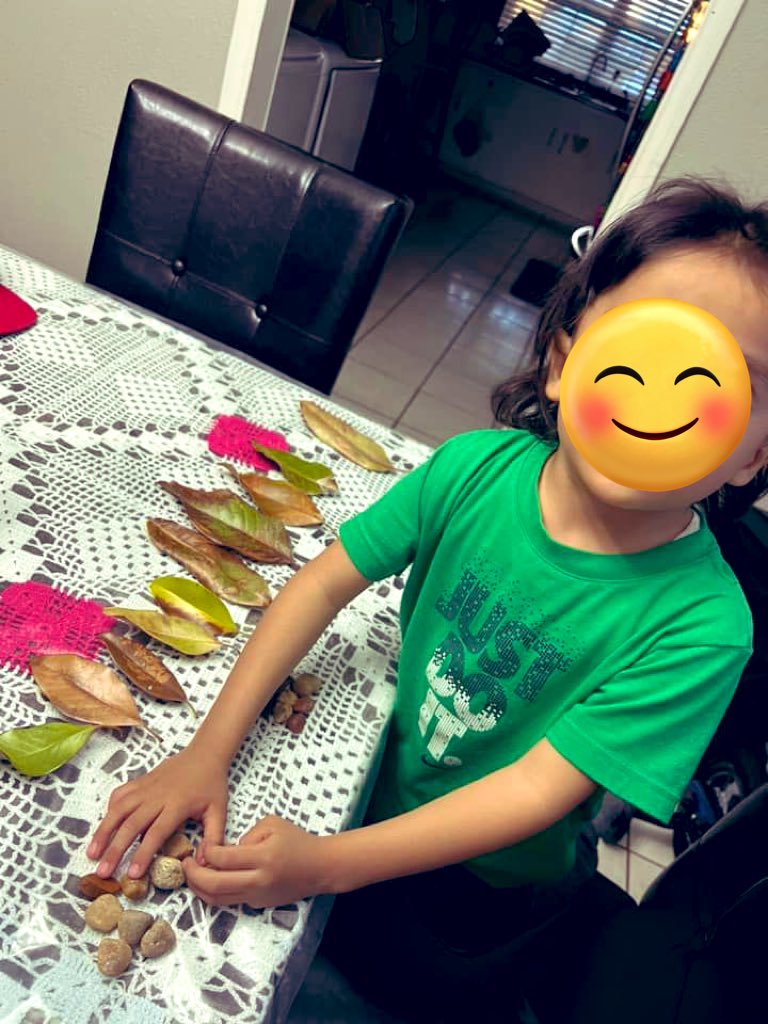 HIPPY families are sorting and classifying using leaves, rocks, and other resources in nature. #ThinkLikeAScientist @MurilloDebbie1 @DrElenaSHill @DallasHIPPY1 @HippyNetwork