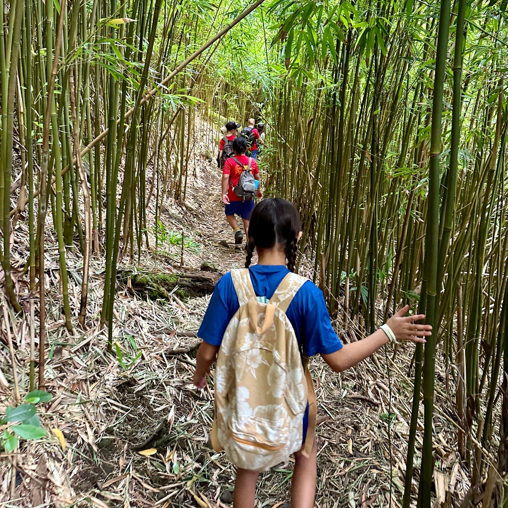 HolyNativity's tweet image. 🎋 BamBooyah! Today, our 4th graders ventured into the wild wonders of Aina Haina Valley! They trekked through the captivating bamboo forest, marveling at its elegance and resilience. 🌿 🥾
#FieldTripFun #NatureLovers #AinaHainaValley #BambooBeauty #HNS #HolyNativitySchool