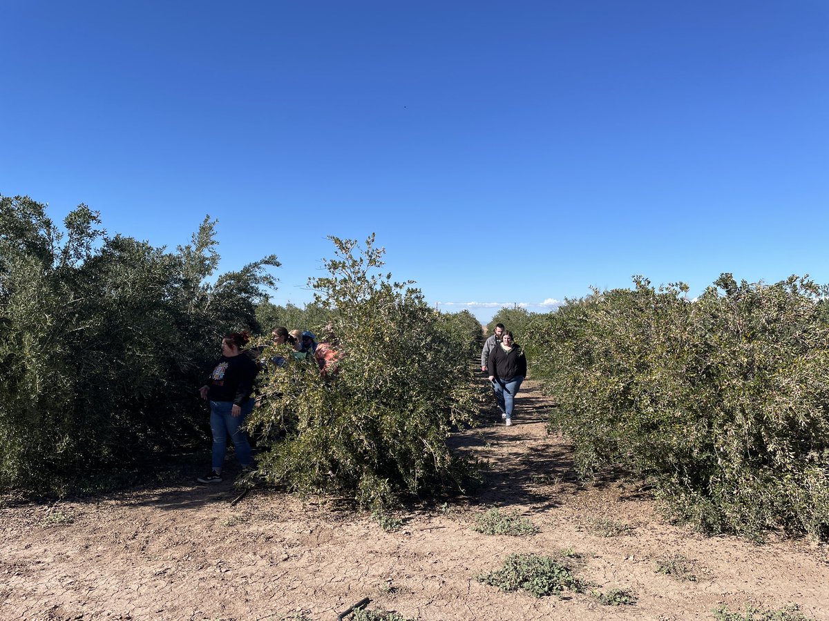 We had a great experience hosting
@Teach_ChLOE  educators through the leadership of <a href="/UCFarmSmart/">UC Farm Smart</a>